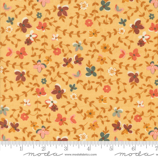 Acorn Hollow Collection - Maize 30761 12 - by Basic Grey for Moda Fabrics