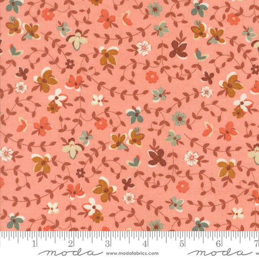 Acorn Hollow Collection - Apple 30761 15 - by Basic Grey for Moda Fabrics