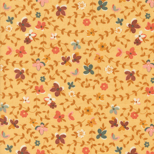 Acorn Hollow Collection - Maize 30761 12 - by Basic Grey for Moda Fabrics