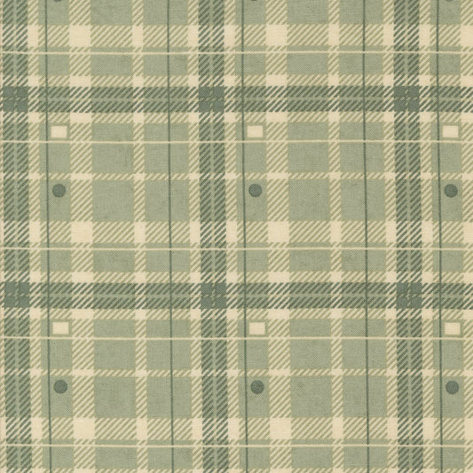 Acorn Hollow Collection - Sage 30764 20 - by Basic Grey for Moda Fabrics