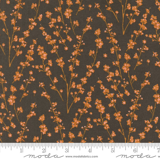 Acorn Hollow Collection - Soil 30765 12 - by Basic Grey for Moda Fabrics