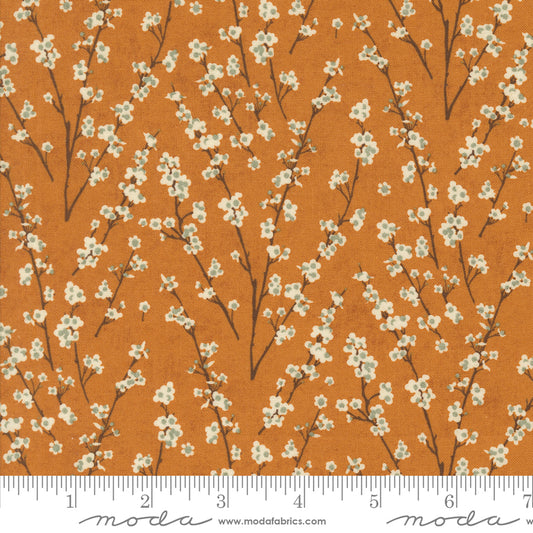 Acorn Hollow Collection - Yam 30765 16 - by Basic Grey for Moda Fabrics