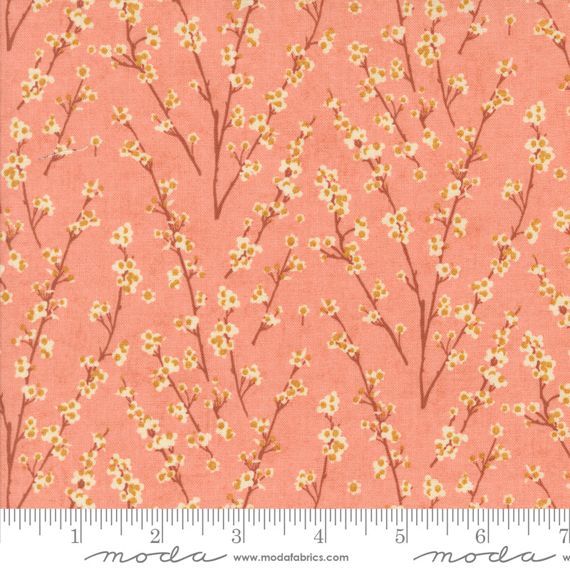 Acorn Hollow Collection - Apple 30765 17 - by Basic Grey for Moda Fabrics
