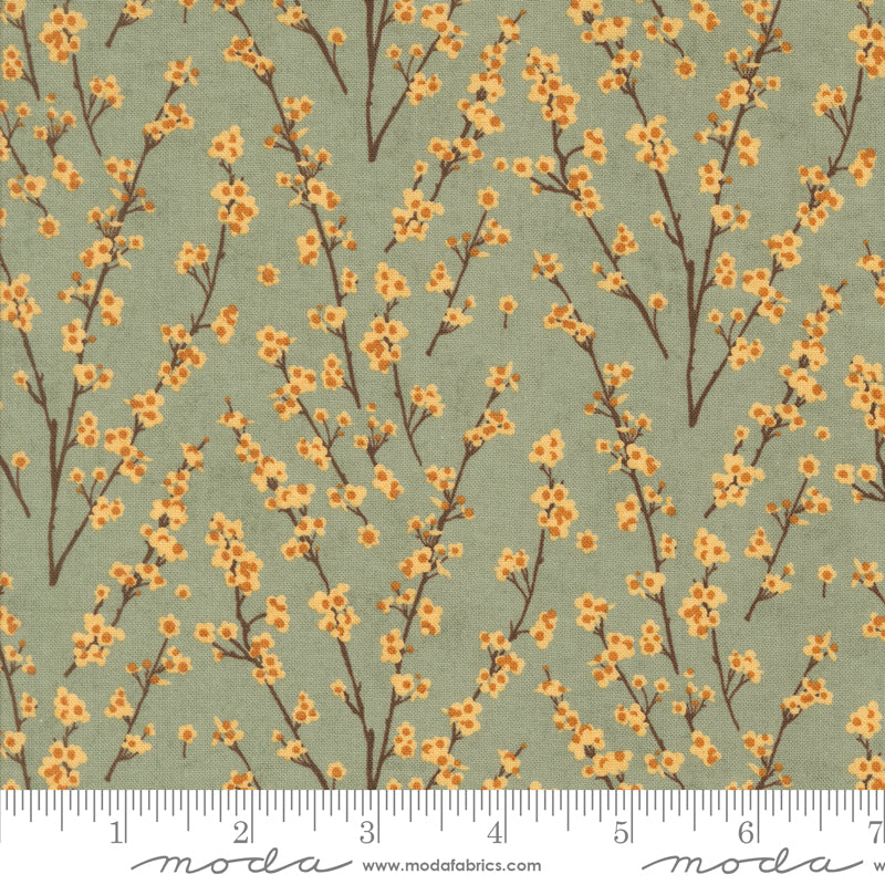 Acorn Hollow Collection - Sage 30765 18 - by Basic Grey for Moda Fabrics