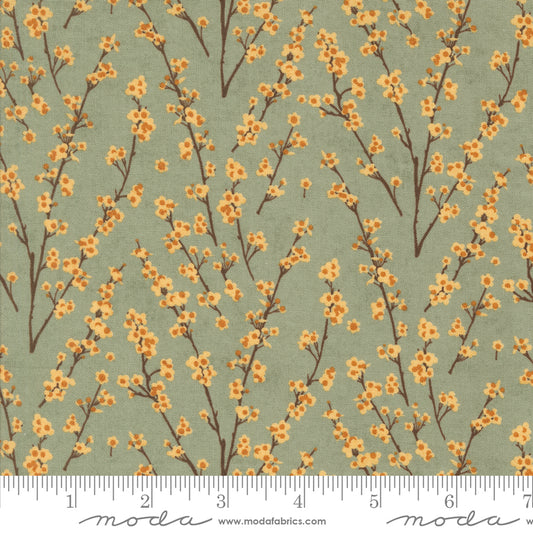 Acorn Hollow Collection - Sage 30765 18 - by Basic Grey for Moda Fabrics