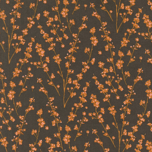 Acorn Hollow Collection - Soil 30765 12 - by Basic Grey for Moda Fabrics