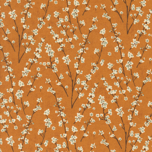 Acorn Hollow Collection - Yam 30765 16 - by Basic Grey for Moda Fabrics