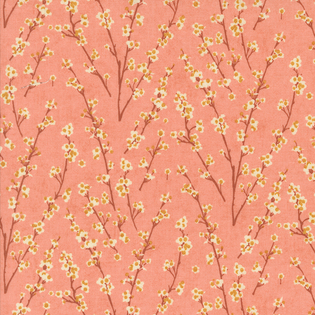 Acorn Hollow Collection - Apple 30765 17 - by Basic Grey for Moda Fabrics