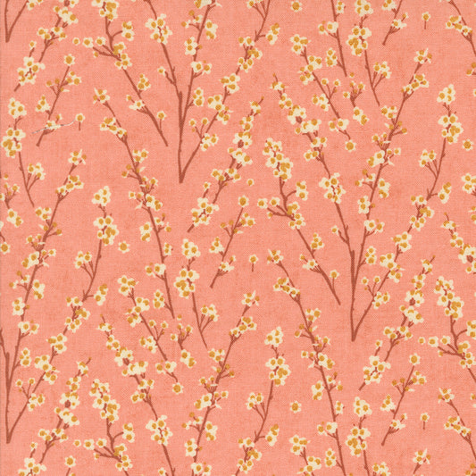 Acorn Hollow Collection - Apple 30765 17 - by Basic Grey for Moda Fabrics