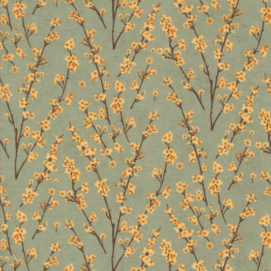 Acorn Hollow Collection - Sage 30765 18 - by Basic Grey for Moda Fabrics