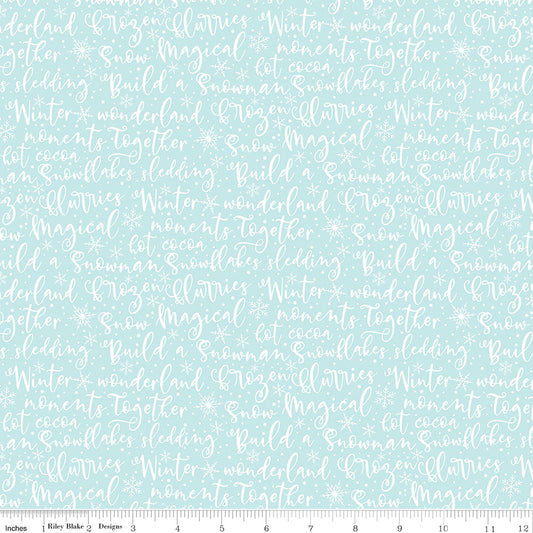 Winter Magic - Winter Words Aqua - by Dani Mogstad for Riley Blake Designs