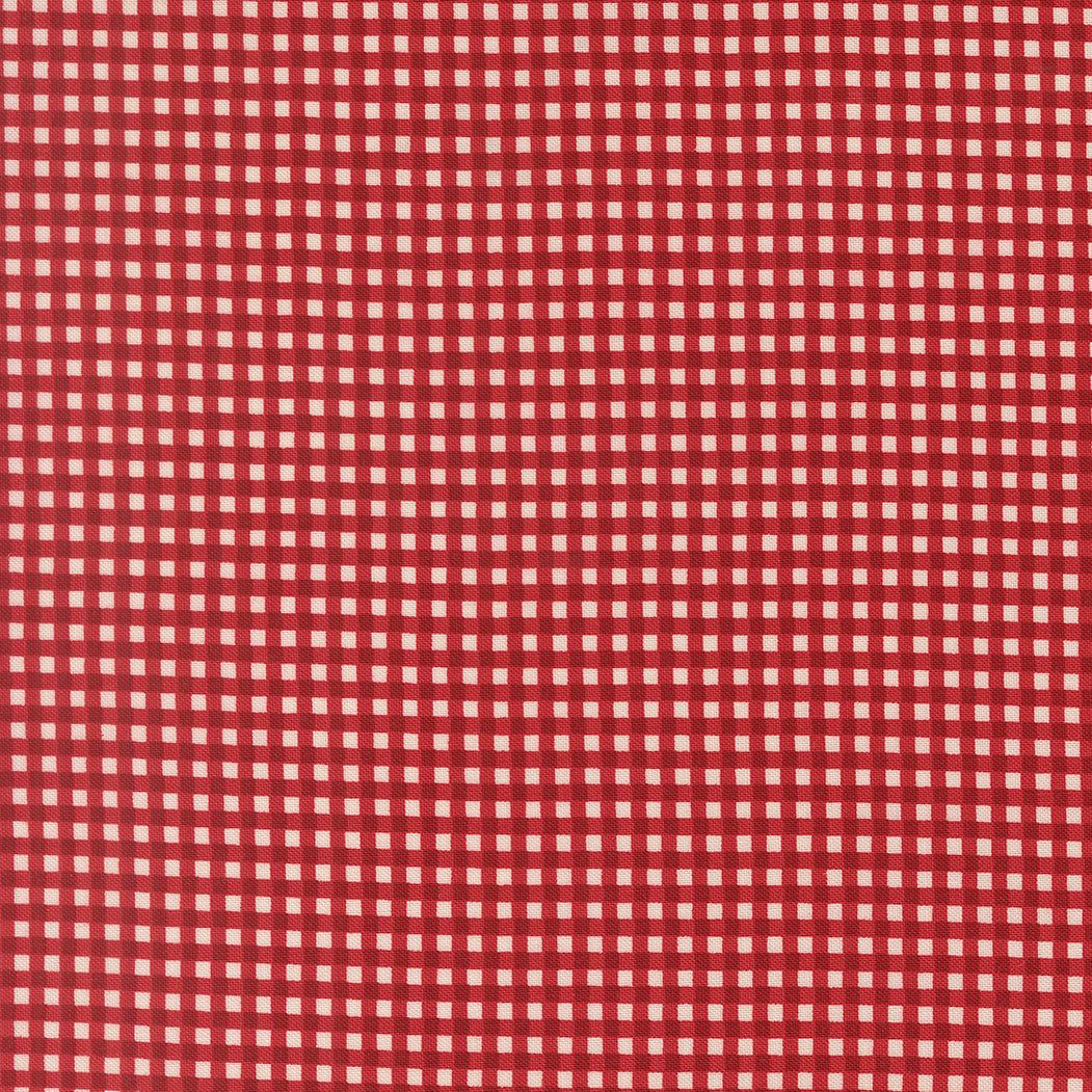 Chilly Collection Gingham Print in Red by Sweetwater for Moda Fabrics