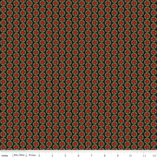 Northern Christmas Stars Black by Teresa Korgut for Riley Blake Designs
